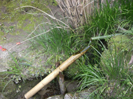植栽と庭づくり